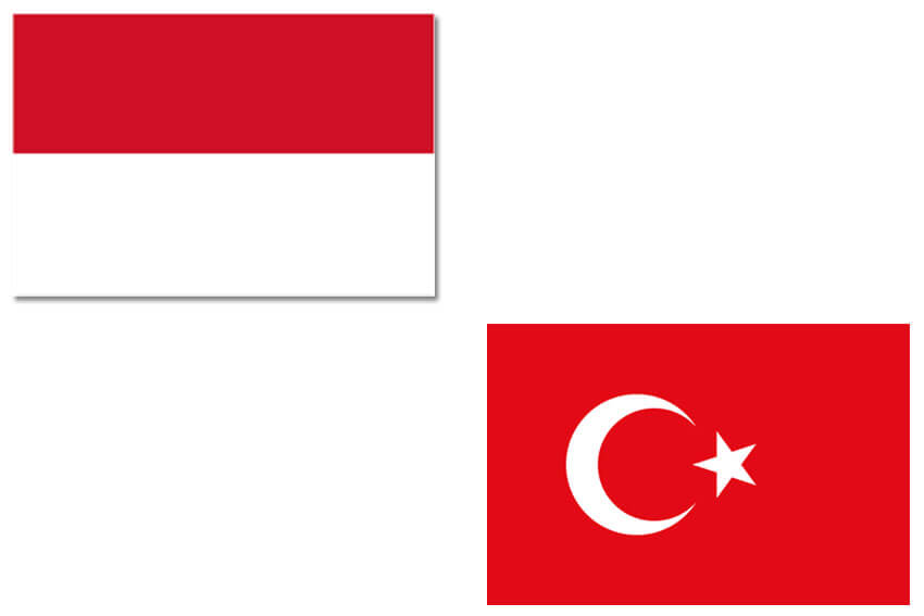 terjemahan bahasa turki